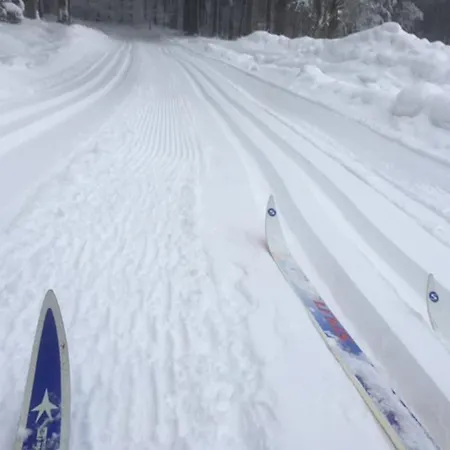 Traumhaftes Gartenloft דירה